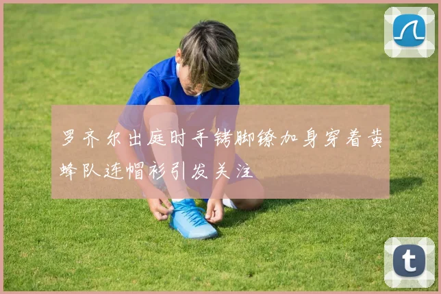 罗齐尔出庭时手铐脚镣加身穿着黄蜂队连帽衫引发关注