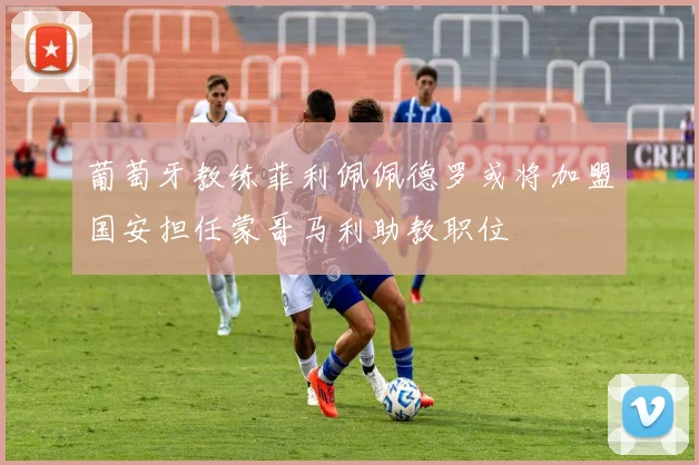葡萄牙教练菲利佩佩德罗或将加盟国安担任蒙哥马利助教职位